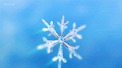 An average snowflake is made up of 180 billion molecules of water.