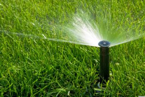 Lawn Watering Maintenance 